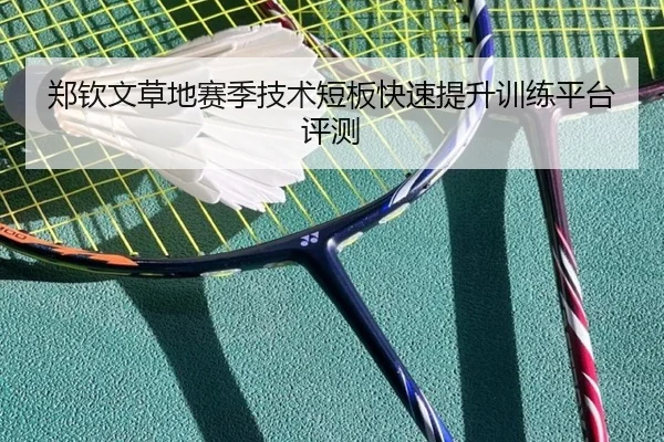 郑钦文草地赛季技术短板快速提升训练平台评测